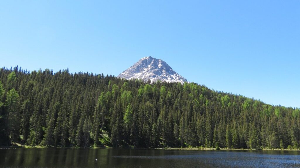 lake, schwarzsee, alps, mountain, nature, landscape, alpine, austria, nauders, forest