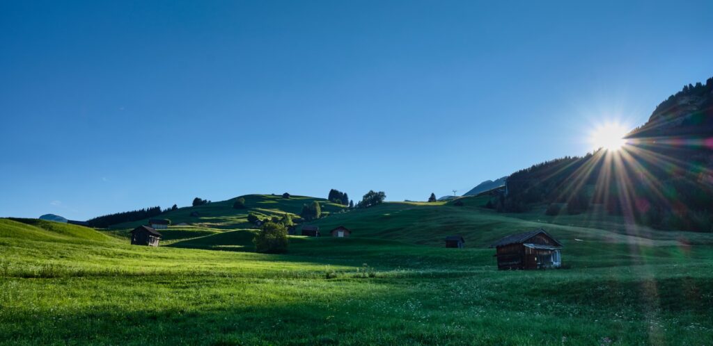green grass field under blue sky during daytime